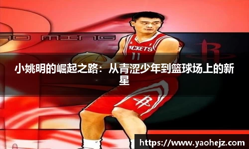 EBET易博官网入口